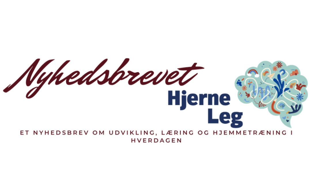Nyhedsbrevet HjerneLeg februar 2026👇
